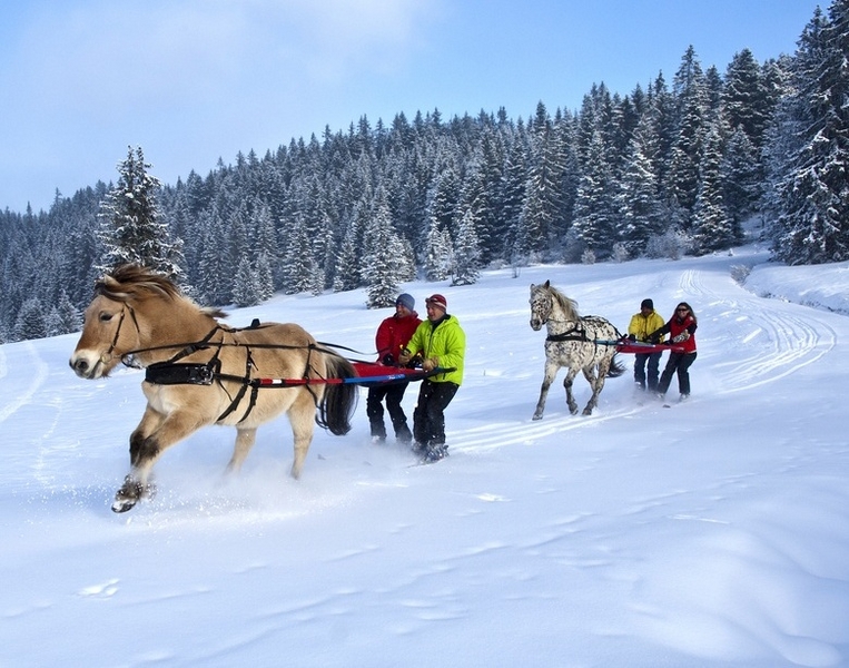 Was für ein Spaß: Skijöring in der alpinen Perle Les Gets – Mit einem PS durch den Schnee © alpine-pearls