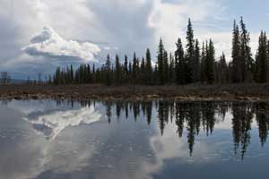 Muddus-Nationalpark_Copyright-Dataliia-Budianska_shutterstock_167164865