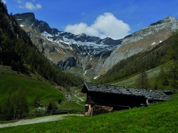 Mountainbiker und Radliebhaber freuen sich über die abwechslungsreichen Strecken in dieser idyllischen Gegend.©: Ski- & Almenregion Gitschberg Jochtal