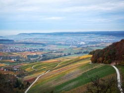 Schritt für Schritt zum Genuss im HeilbronnerLand 