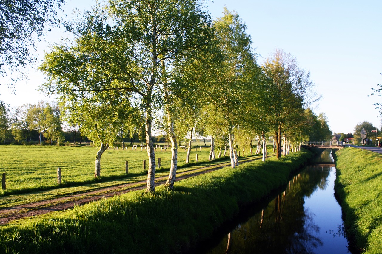 Im Teufelsmoor bei Bremerförde Bild von Olle August auf Pixabay 