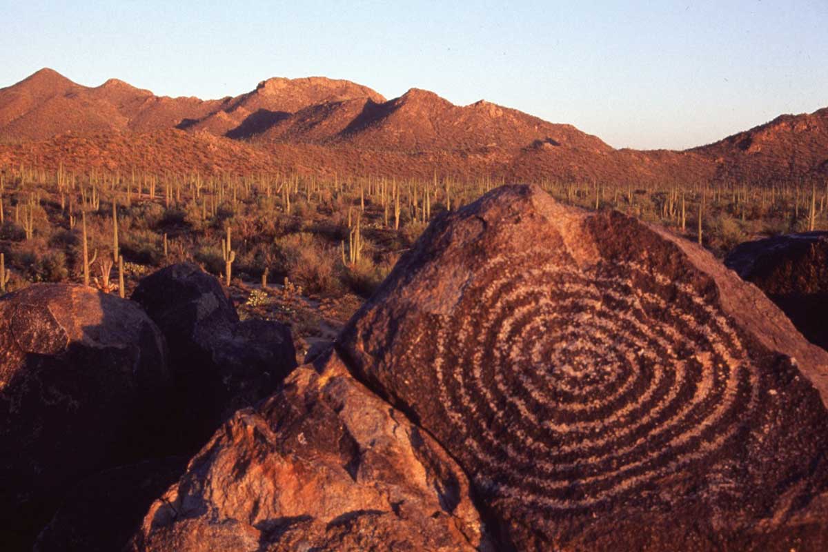 Petroglyphen in der Sonora-Wüste Bild: experiencescottsdale.com