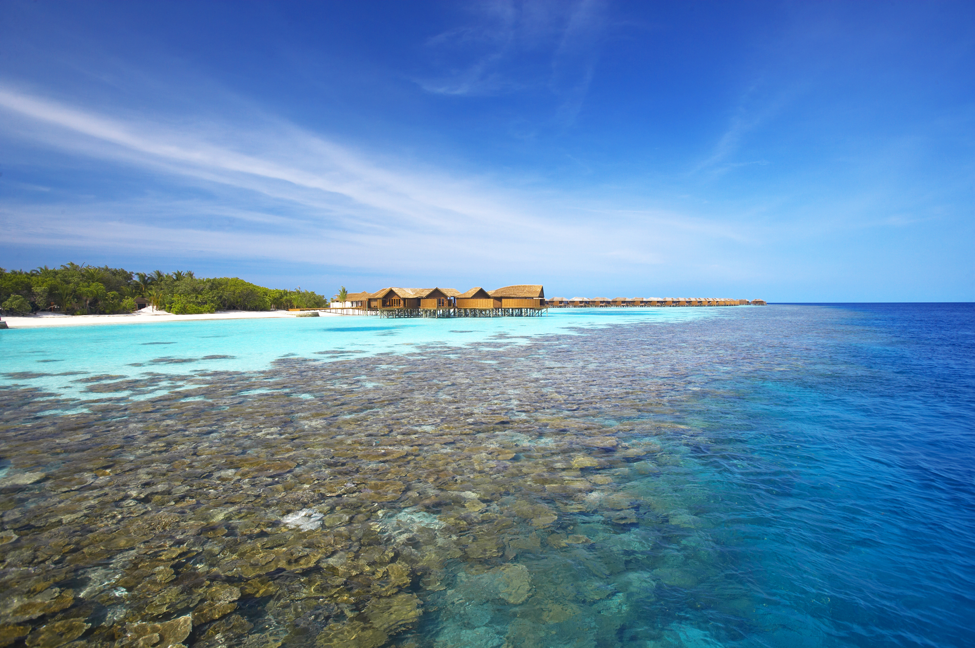 Das Hausriff des Hotels Lily Beach Resort Bild: Hotel