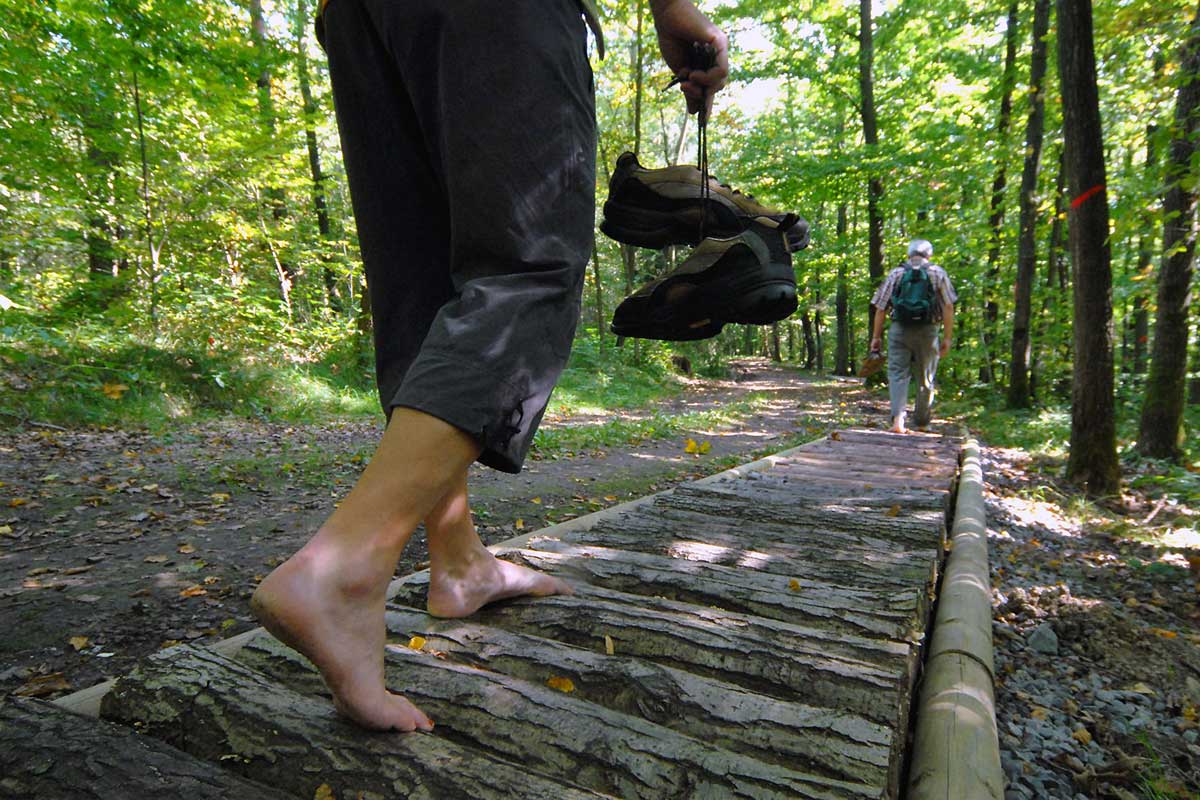 Ein ganz neues Fuß-Bewusstsein vermittelt der Barfußpfad in Nordenberg bei Windelsbach. Foto: djd/Tourismusverband Romantisches Franken