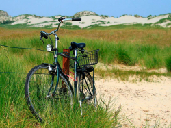 RAD-Land Dänemark Bild: Jürgen Mees/pixelio.de