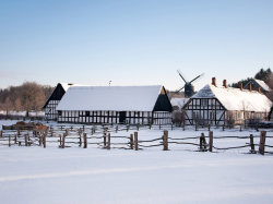 Jule-Frieden im Weihnachtswunderland Bild: Andreas/pixelio.de