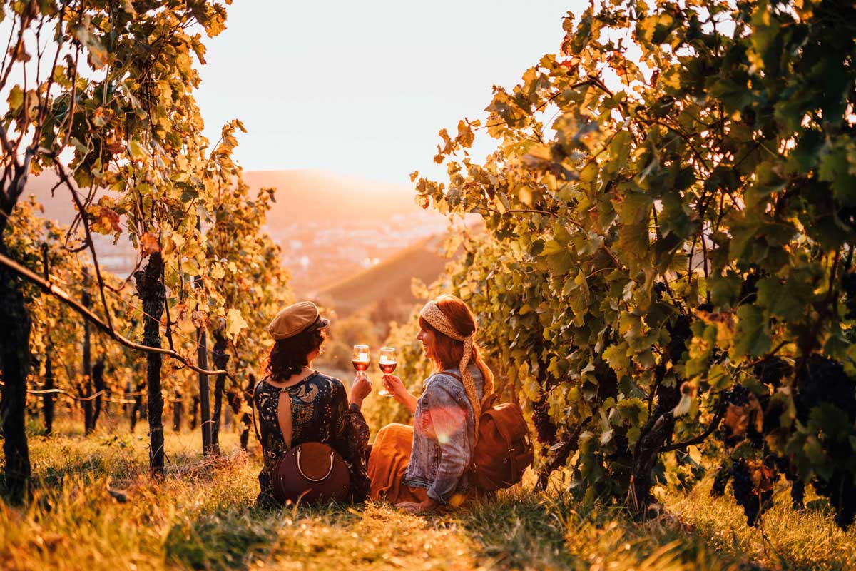 Wenn Wein zum Erlebnis wird