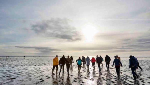 Dänemarks Austernfestival