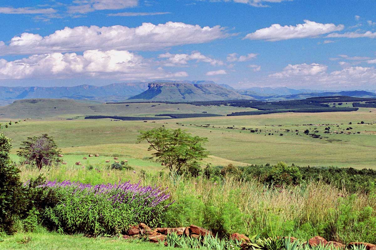 Aussicht auf die Landschaft Südafrikas (c) Antbear Eco Lodge