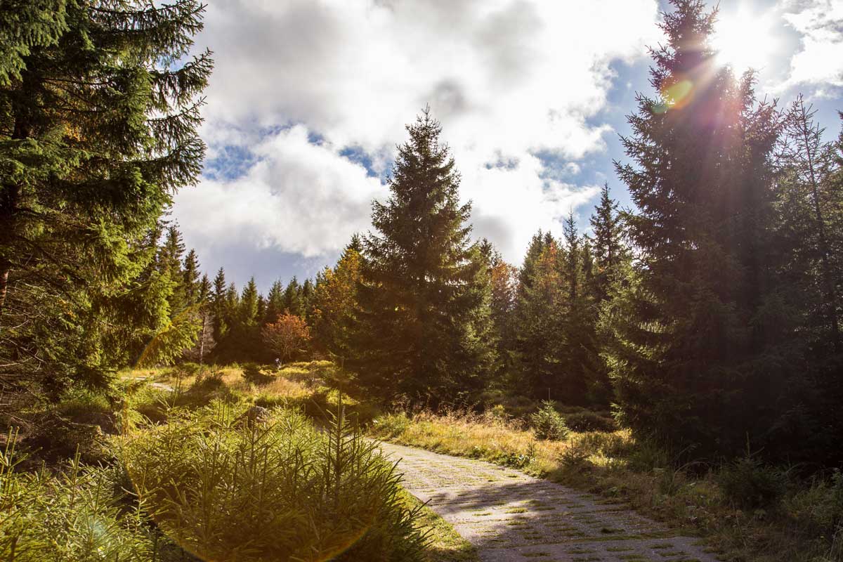 Brockentour ©Tourismusmarketing Bad Harzburg, Best Mountain Artists