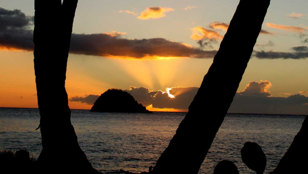 Martinique - zwischen Rum und Tropenwald   Bild von orythys auf Pixabay