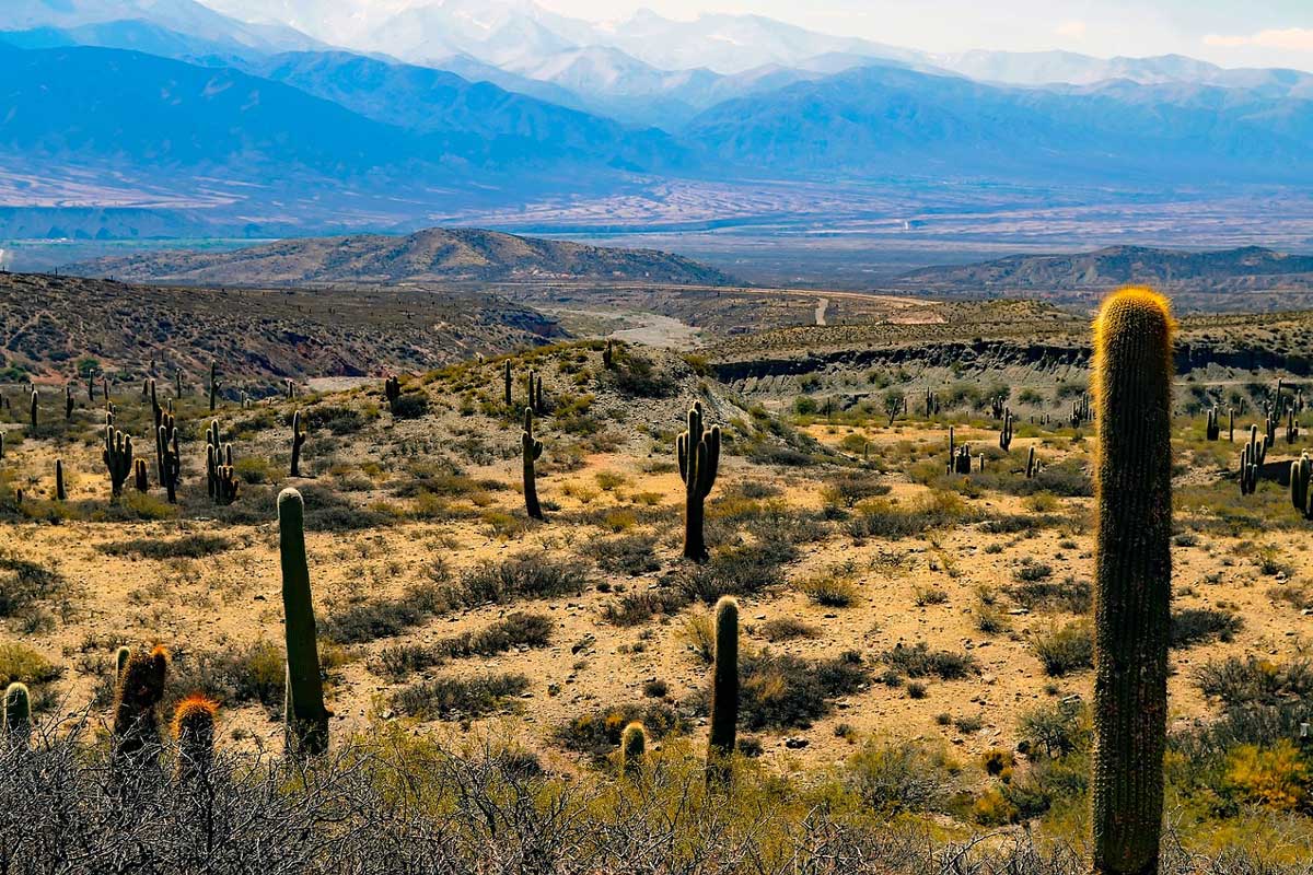 Argentinien, typische Landschaft am Rande der Anden   Bild: 12019 auf Pixabay