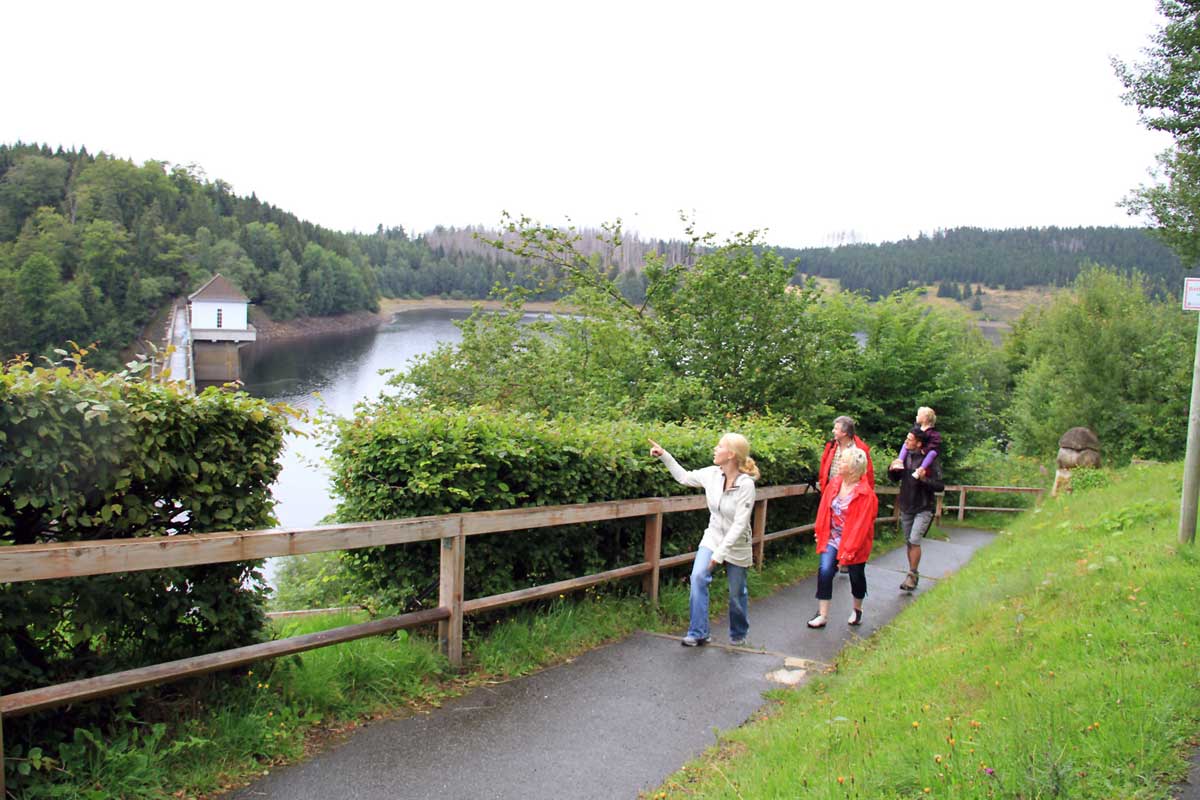 Der leichteste von fünf neuen Themenwanderwegen rund um Bad Harzburg führt einmal um den Eckerstausee. Foto: djd/Bad Harzburg