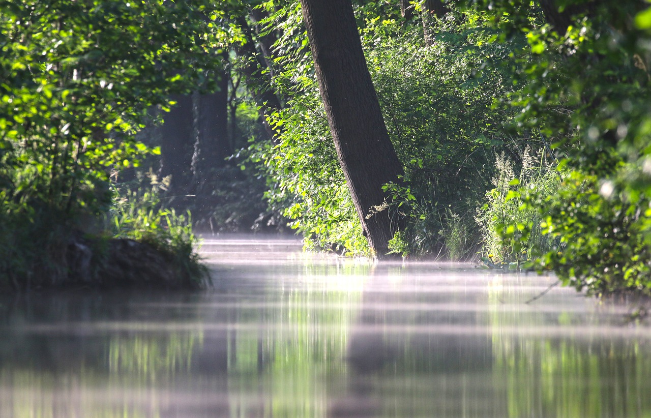 Heideseen ím Spreewald Bild von Andreas Glöckner auf Pixabay