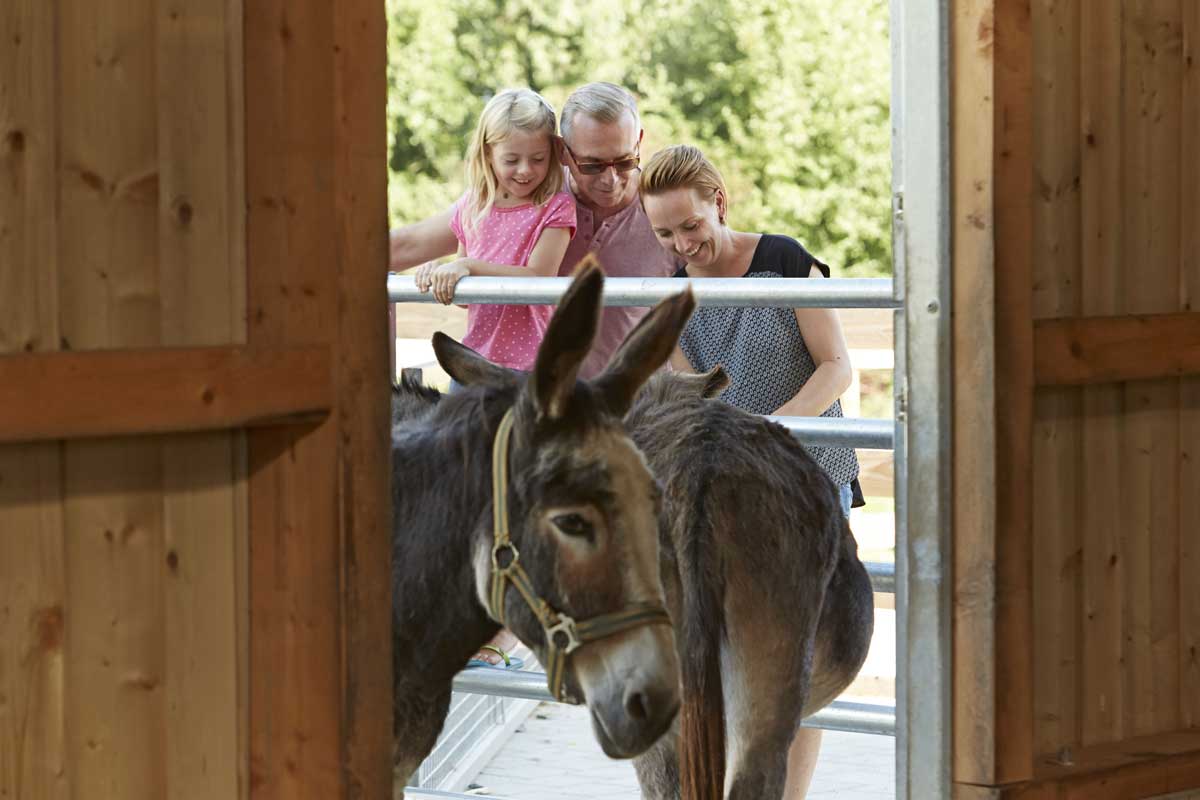 Familienurlaub - alles andere als langweilig
