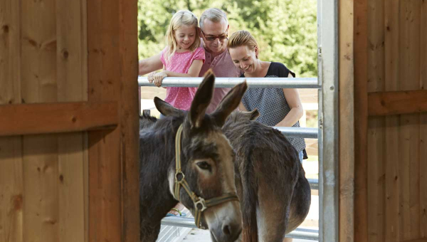 Familienurlaub - alles andere als langweilig