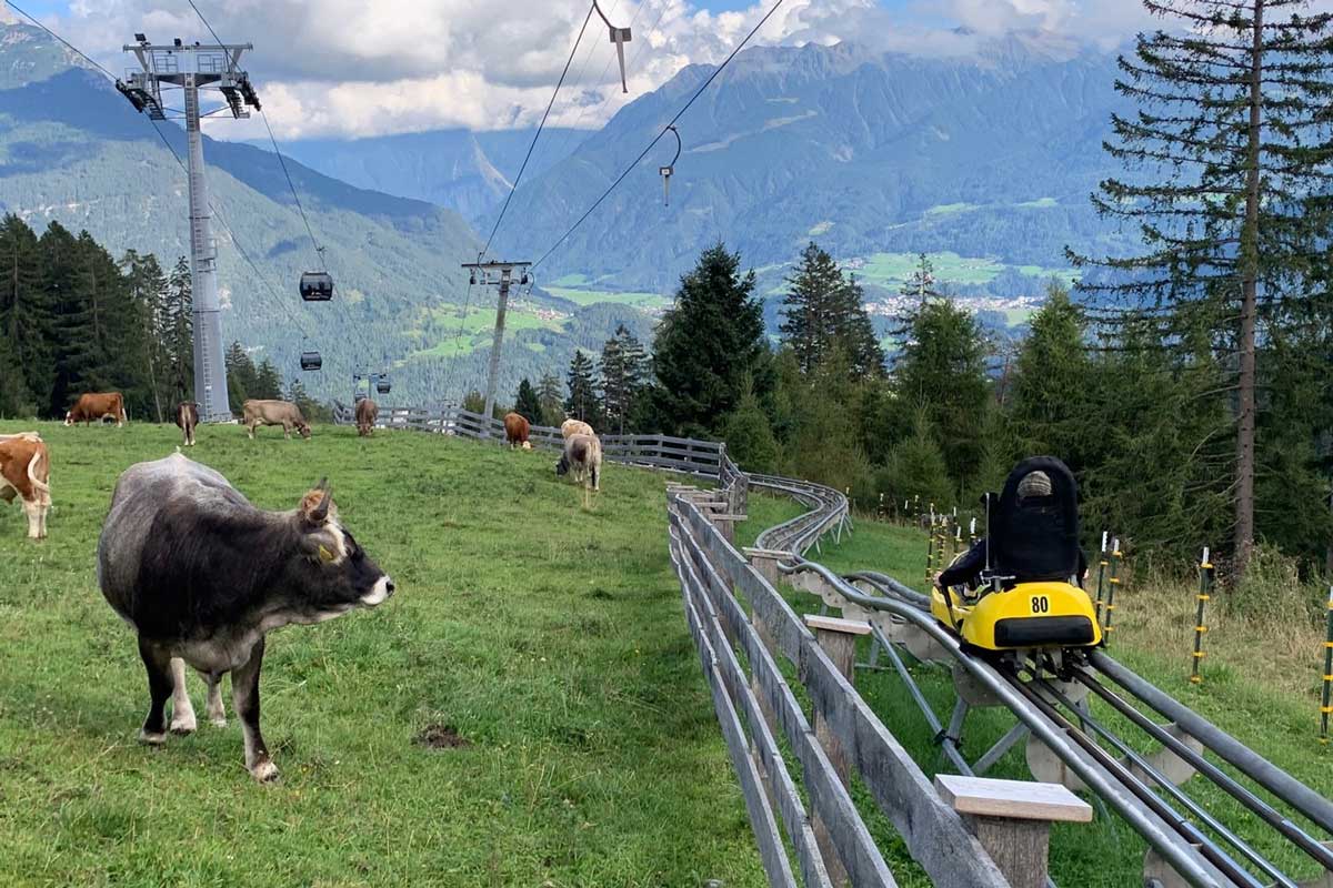 Alpine Coaster  Bild:  Anke Sieker