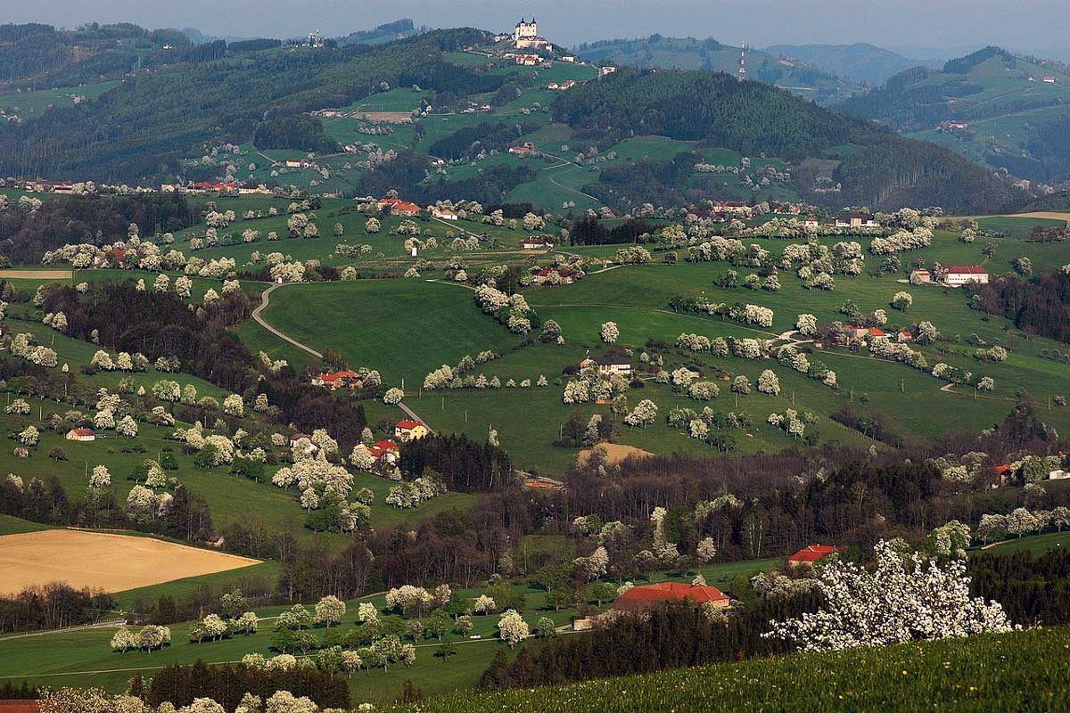 Obstbaumblüte im Mostviertel   Bild von Urltaler auf Pixabay