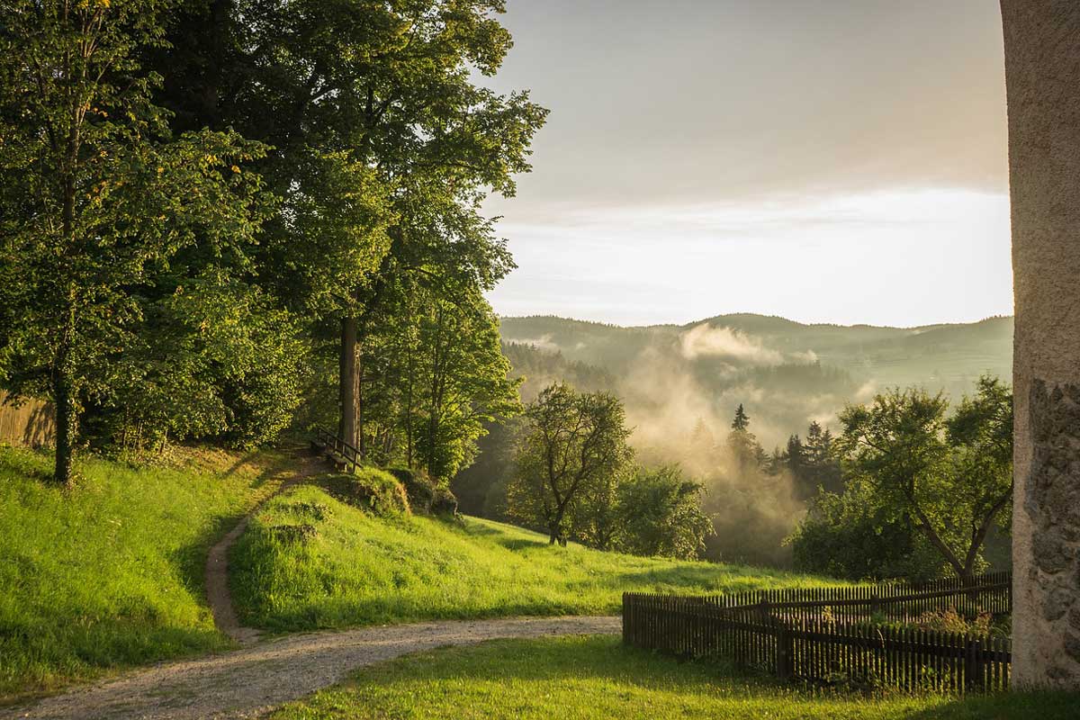 Im Waldviertel   Bild von Leonhard Niederwimmer auf Pixabay