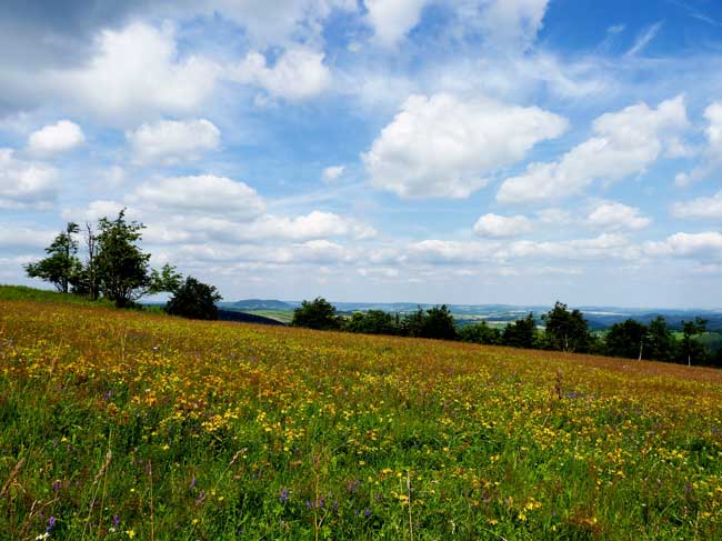 Wandern im Erzgebirge © Tourismusverband Erzgebirge e.V.“