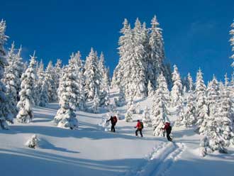 „Pudelwohl-Urlaub“  im Erzberg Alpin Resort Bild: Hotel