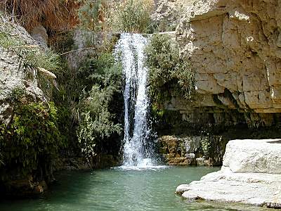 En Gedi Nahal David Wasserfall