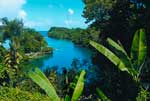 Lush Green, Jamaika (c) JAMAICA TOURIST BOARD