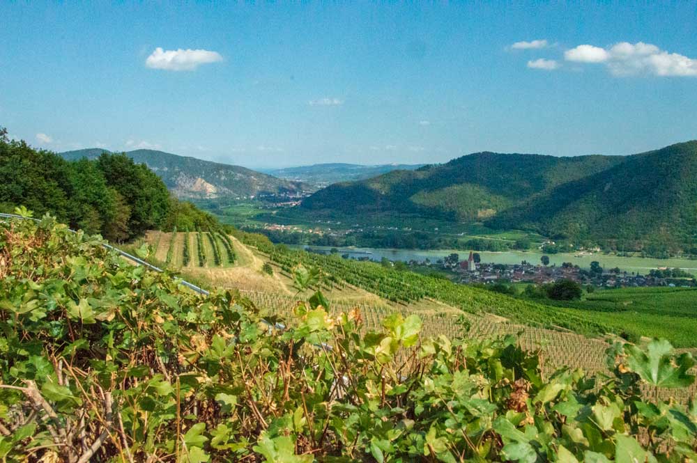 Übersicht Niederösterreich - In der Wachau Bild: Gottfried Pattermann
