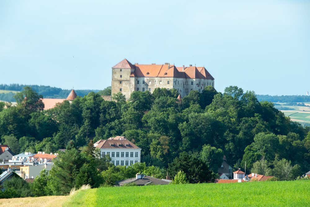 Im Wienerwald Bild: Gottfried Pattermann