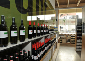 (c) Weinmarkt Poysdorf