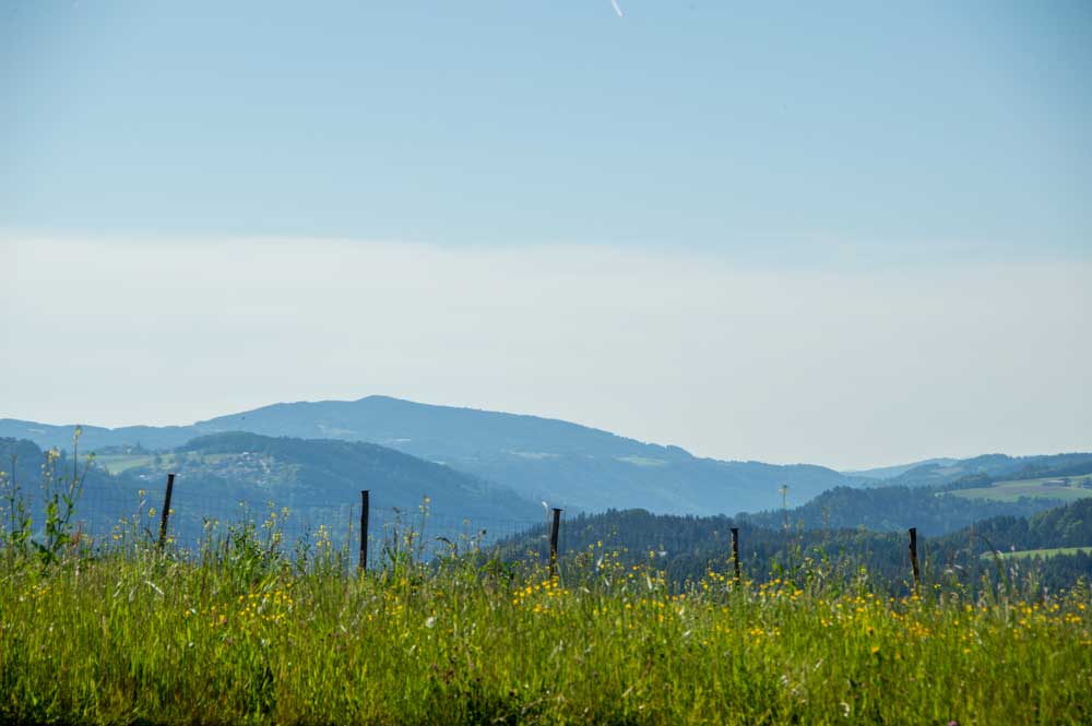 Hausruckviertel - Landschaft bei Haibach