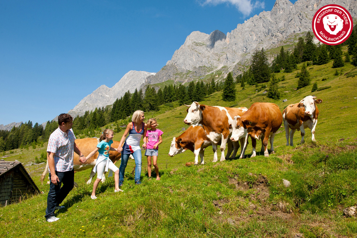Wandern am Hochkönig (c) Hochkönig Tourismus GmbH