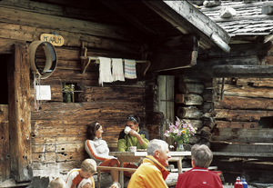 Brotzeit auf der Alm (c) Wildkogel-Arena Brotzeit auf der Alm (c) Wildkogel-Arena
