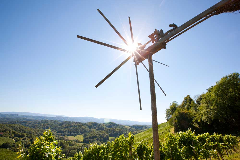 Südsteiermark   Bild: Harald Eisenberger