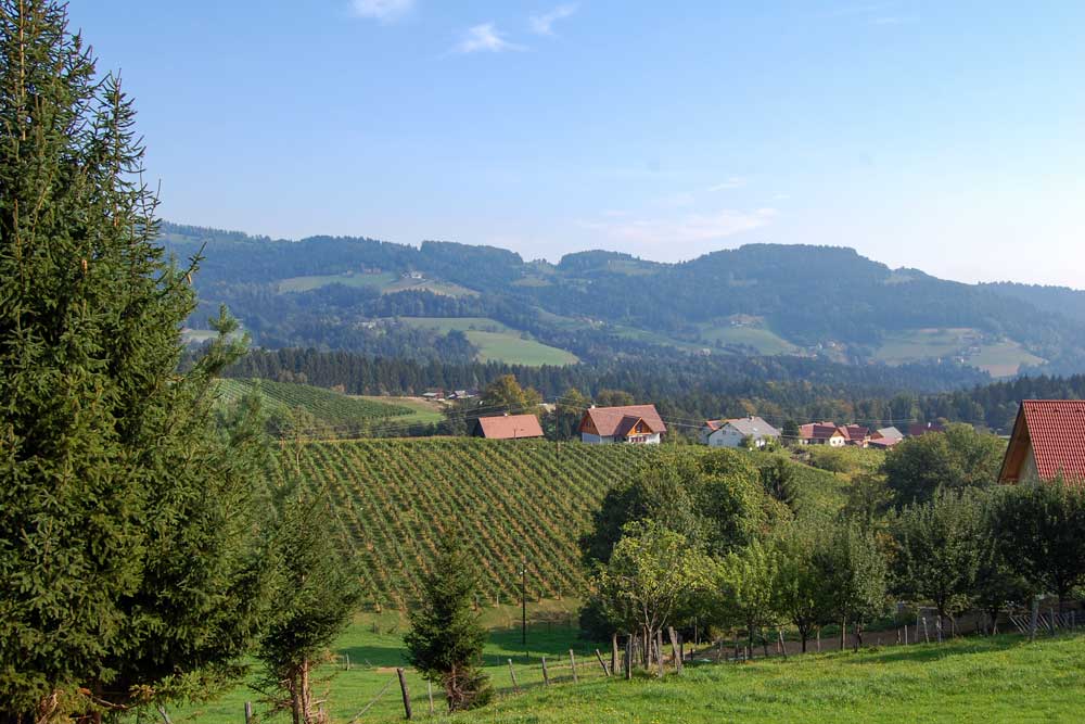 Inder Weststeiermark bei Deutschlandsberg Bild: Gottfried Pattermann/gp-image-facts.com