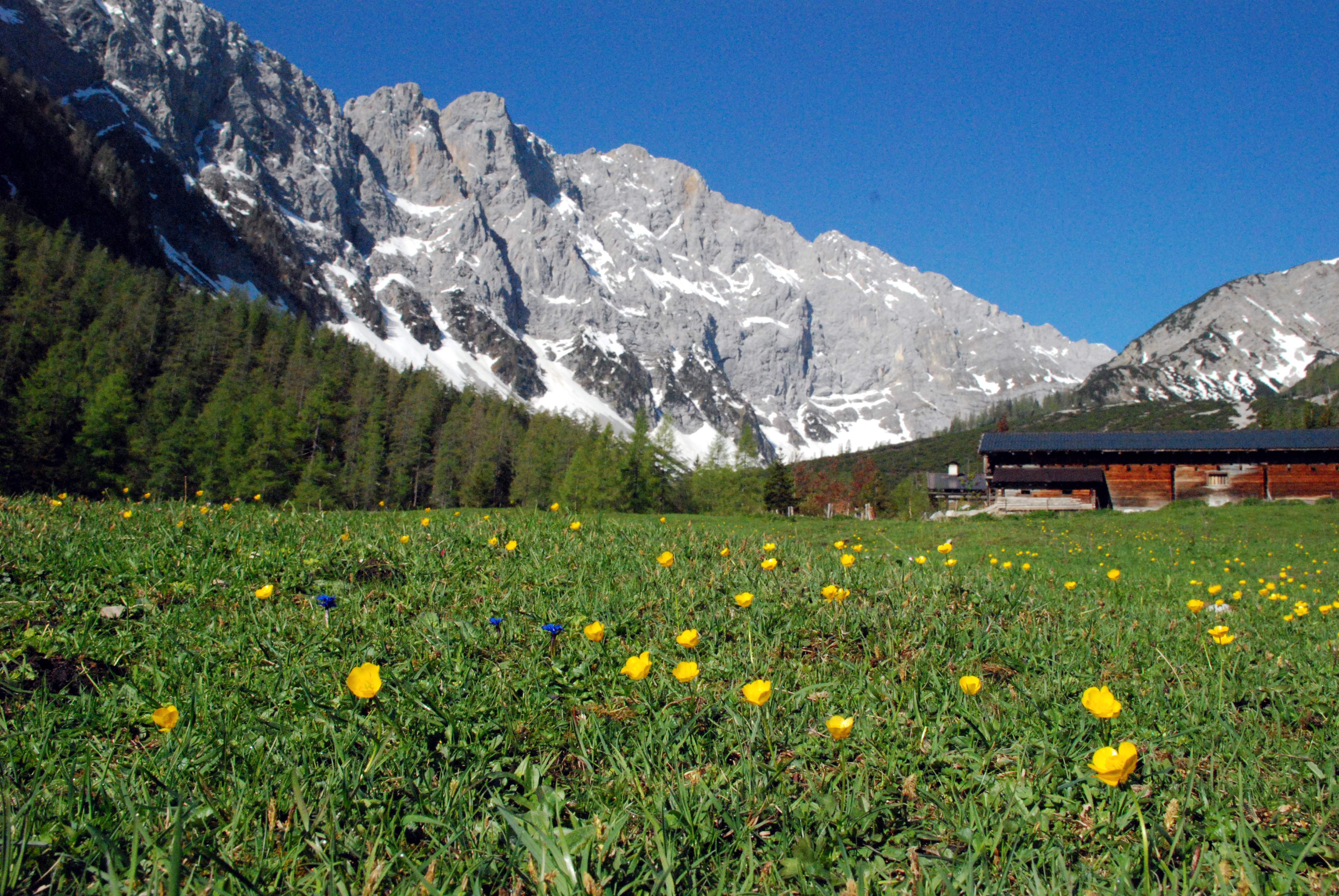 Frühlingstage in der Silberregion Karwendel Bild: Silberegion Karwendel Frühlingstage in der Silberregion Karwendel Bild: Silberegion Karwendel