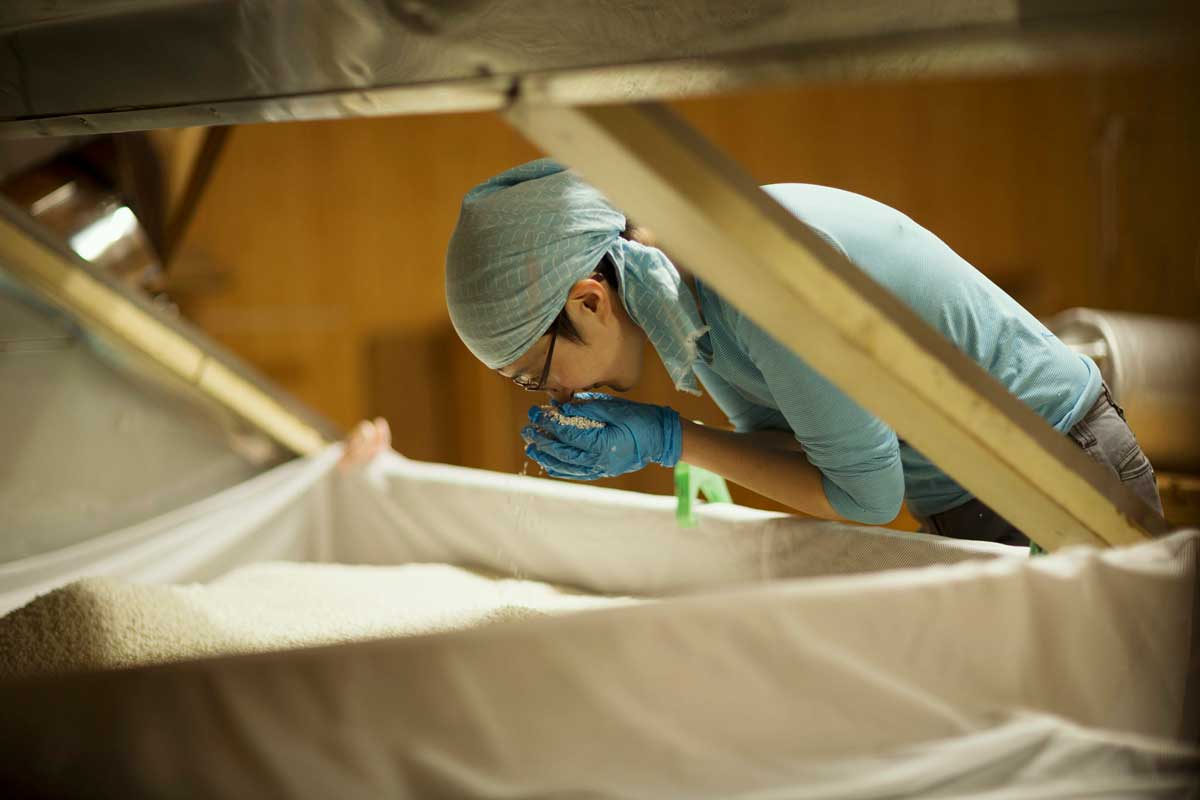 1200Setouchi Tsuji Honten scaled