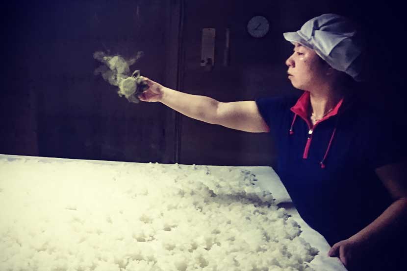 Setouchi_Shintani-Sake-Brewery