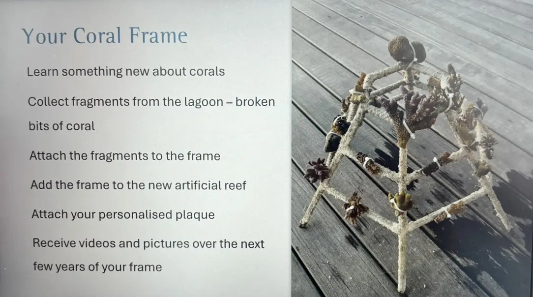 Korallenprojekt Velassaru Bild: Tisha Smiljanic Korallenprojekt Velassaru Bild: Tisha Smiljanic