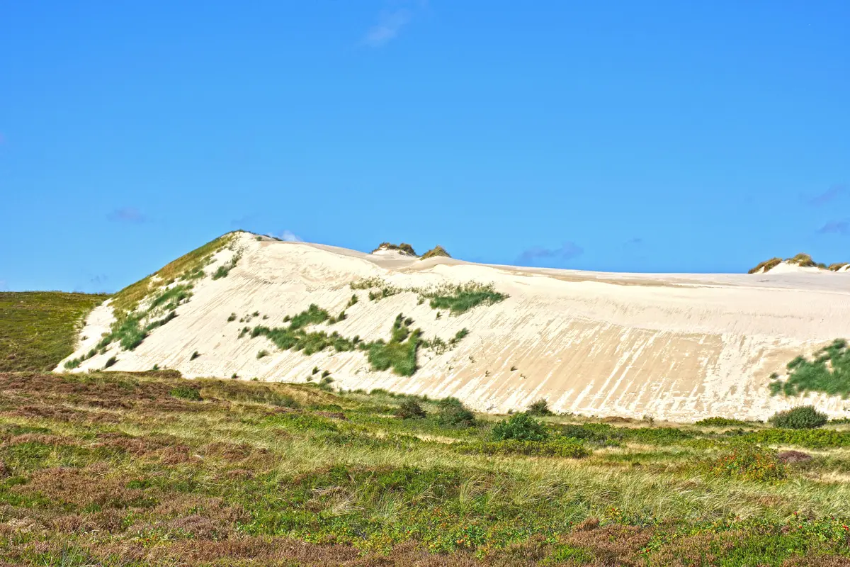 Zutritt nur unter fachkundiger Führung: Bei den geleiteten Touren besteht Gelegenheit, die Lister Wanderdüne aus nächster Nähe in Augenschein zu nehmen. Foto: djd/Kurverwaltung List