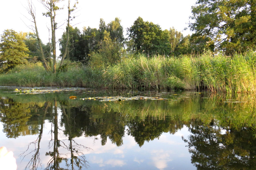 Idyllisch: Über kleine Seen, durch schmale Kanäle und Flüsse führen die abwechslungsreichen Paddeltouren im 