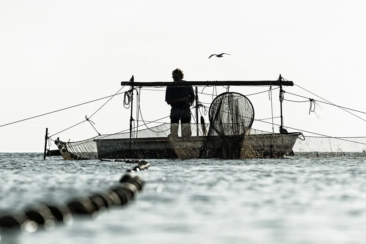 Die Kleine Küstenfischerei umfasst die handwerkliche Fischerei mit kleinen Booten in den küstennahen Gewässern der Ostsee und den Bodden Mecklenburg‑Vorpommerns. © Iwona Knorr