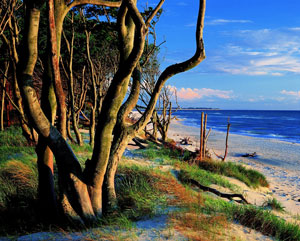 Weststrand Darß 	© TMV_Grundner (Mecklenburg-Vorpommern