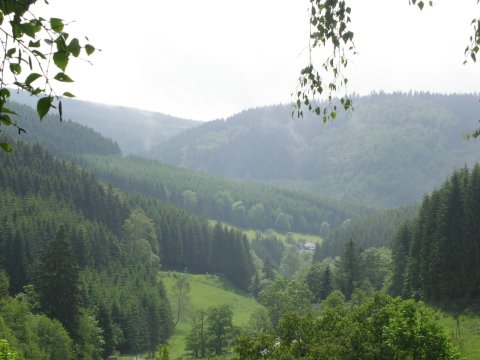 Sauerland copyright by Thomas Klein-Hitpaß (= User Rototom) Wikipedia Sauerland
