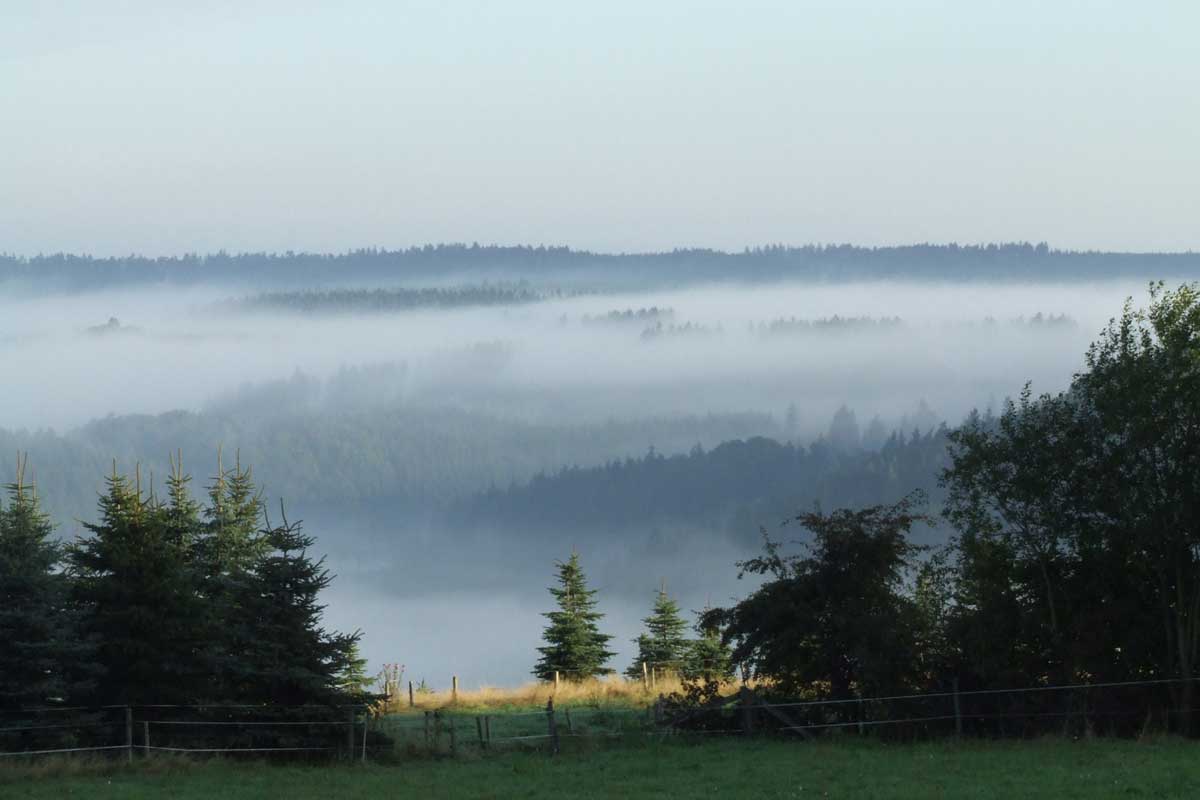 D23 Die Eifel Bild: VulkanMedia / pixelio.de