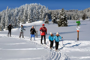 Ein besonderer Tipp für alle Langlauffans ist im Erzgebirge die 36 Kilometer lange Kammloipe zwischen Johanngeorgenstadt und Schöneck. Foto: djd/Tourismusverband Erzgebirge e.V./Wolfgang Thieme