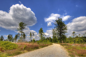 Wandernweg im Fichtelgebirge (c) Tourismuszentrale Fichtelgebirge