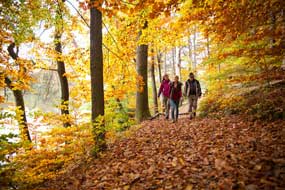 Auf Wanderungen durch das HeilbronnerLand erlebt man den Herbst von seiner schönsten Seite. Foto: djd/Touristikgemeinschaft HeilbronnerLand