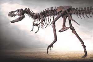 Münchens größtes Raubtier zieht um: Rocky_Dinosaurier-Museum-Altmühltal, Bild:Harry-Meister.