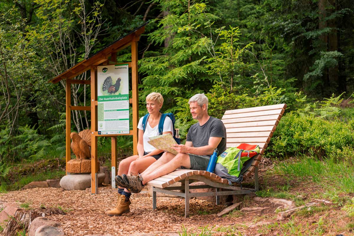 Unterwegs auf dem Auerhahnweg: An zahlreichen Stationen erfahren Wanderer Interessantes zur Geschichte des Auerhahns. Foto: djd/Schramberg Tourismus/Matthias King